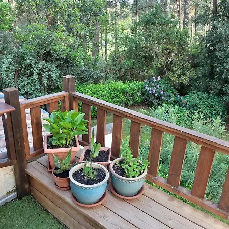 Apartamento Les Hameaux Du Golf Océan *